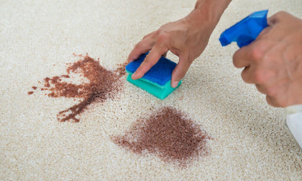 Shag-rug-cleaning